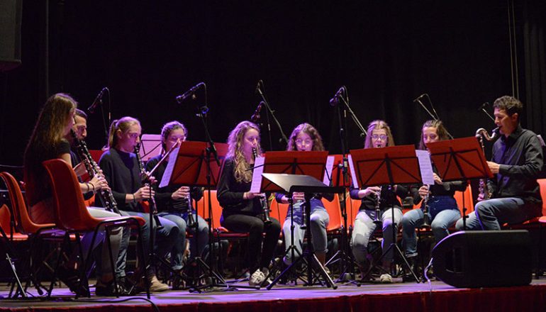 Ensemble di clarinetti in concerto